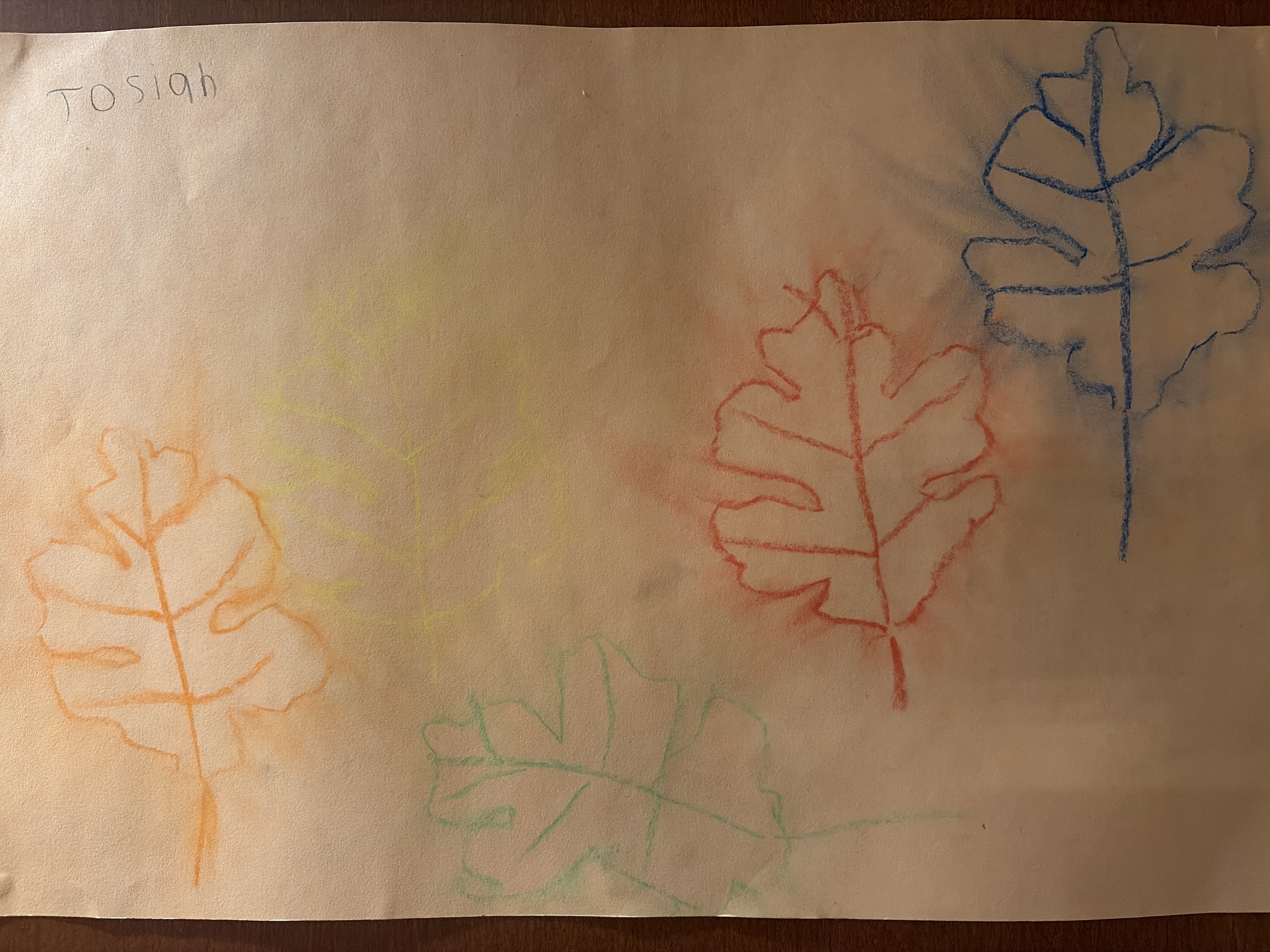Fallen Leaves — original drawing